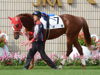 新馬戦　パドック
