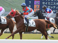 新馬戦　キャンター