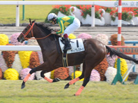 新馬戦　ゴール前
