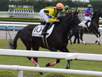 未勝利戦　キャンター
