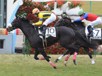 未勝利戦　ゴール前