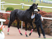 未勝利戦　口取り
