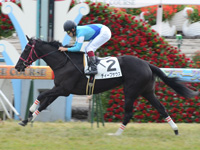 新馬戦　ゴール前