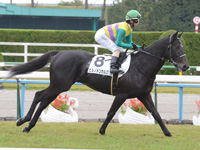 未勝利戦　キャンター