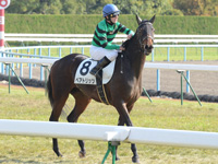 未勝利戦（牝）　レース後