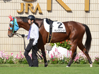 新馬戦　パドック