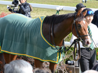 新馬戦　口取り