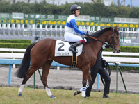 新馬戦　本馬場入場