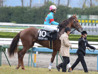 京都2歳ステークス（ＯＰ）　本馬場入場