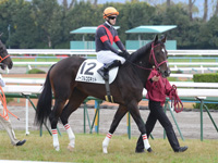 新馬戦　本馬場入場