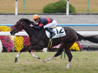 新馬戦　ゴール前