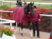 新馬戦　口取り