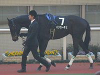 エリカ賞（500万）　パドック