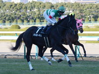 エリカ賞（500万）　キャンター