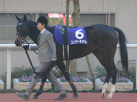 阪神ジュベナイルフィリーズ（ＧＩ）　パドック