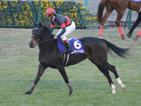 阪神ジュベナイルフィリーズ（ＧＩ）　キャンター