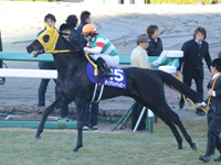 阪神ジュベナイルフィリーズ（ＧＩ）　本馬場入場