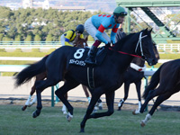 エリカ賞（500万）　キャンター