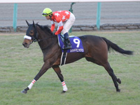 阪神ジュベナイルフィリーズ（ＧＩ）　キャンター