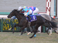 阪神ジュベナイルフィリーズ（ＧＩ）　ゴール前
