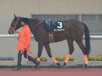 エリカ賞（500万）　パドック
