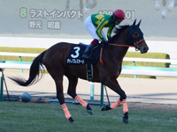 エリカ賞（500万）　キャンター