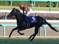 朝日杯フューチュリティＳ（ＧＩ）　キャンター