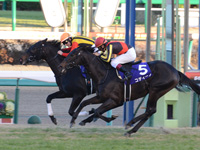 朝日杯フューチュリティＳ（ＧＩ）　ゴール前（外2着）
