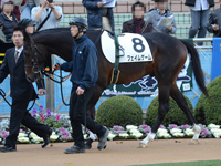 未勝利戦　パドック