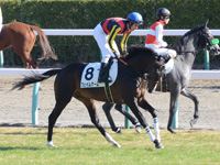 未勝利戦　キャンター