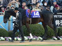 朝日杯フューチュリティＳ（ＧＩ）　パドック