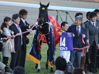 朝日杯フューチュリティＳ（ＧＩ）　口取り
