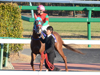 朝日杯フューチュリティＳ（ＧＩ）　本馬場入場