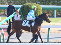 未勝利戦（牝）　本馬場入場
