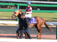 朝日杯フューチュリティＳ（ＧＩ）　本馬場入場