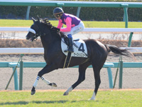 未勝利戦　キャンター