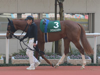 ラジオNIKKEI杯2歳ステークス（ＧIII）　パドック