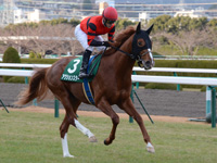 ラジオNIKKEI杯2歳ステークス（ＧIII）　キャンター