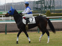 新馬戦（牝）　本馬場入場