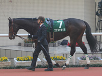 ラジオNIKKEI杯2歳ステークス（ＧIII）　パドック