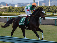 ラジオNIKKEI杯2歳ステークス（ＧIII）　キャンター