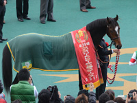 ラジオNIKKEI杯2歳ステークス（ＧIII）　口取り