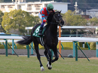 ラジオNIKKEI杯2歳ステークス（ＧIII）　キャンター