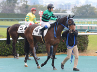 未勝利戦　本馬場入場