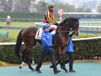 未勝利戦　本馬場入場