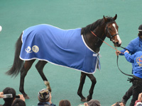 未勝利戦　口取り