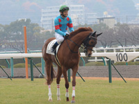 新馬戦（牝）　本馬場入場