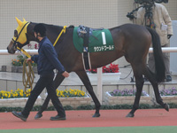 ラジオNIKKEI杯2歳ステークス（ＧIII）　パドック
