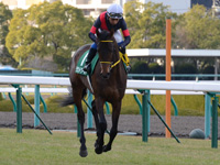 ラジオNIKKEI杯2歳ステークス（ＧIII）　キャンター