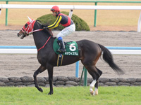 シンザン記念（ＧIII）　本馬場入場